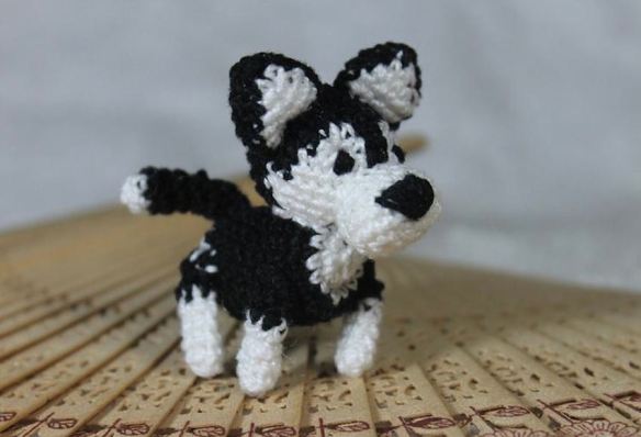 Black & White Toy Dog