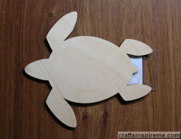 Raw Wood Turtle