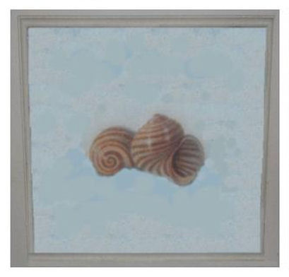 Before Seashell Plaque