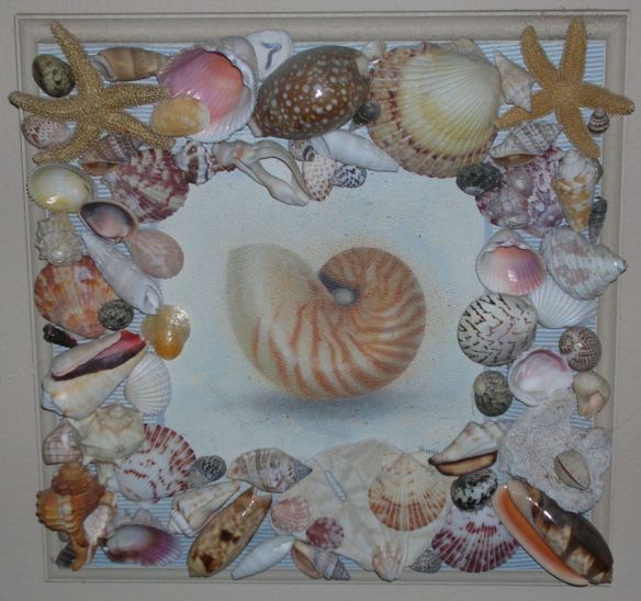 Shell Plaque