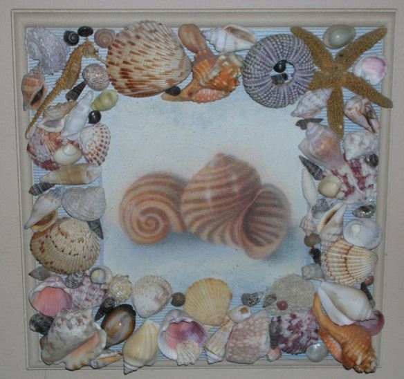 Shell Plaque
