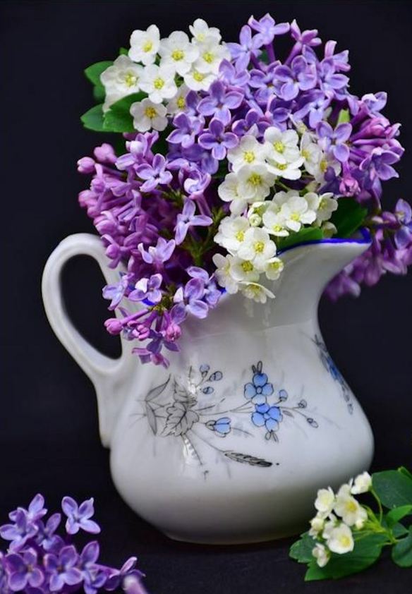 Water Pitcher with Purple Lilacs & White Sweet Alysse