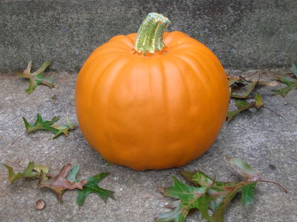 Craft Pumpkin