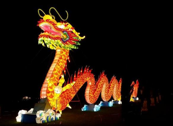 Orange Chinese Dragon