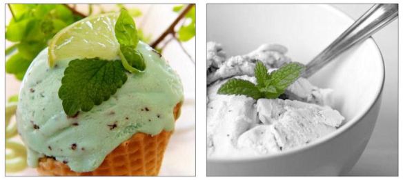 Mint Chocolate Chip Ice Cream