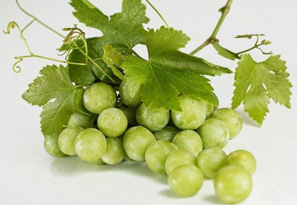 Green Grapes
