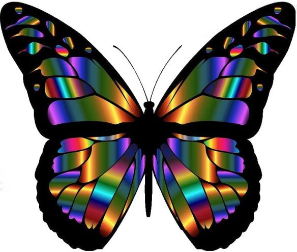 Colorful Butterfly
