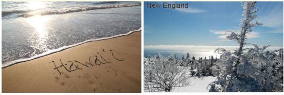 Hawaii & New England