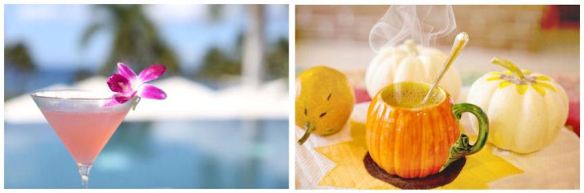 Tropical Cocktail & Hot Beverage