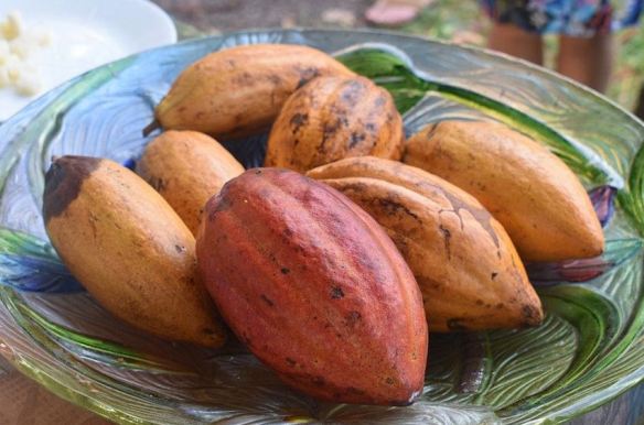 Cacao