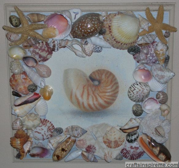 Sea Shell Plaque