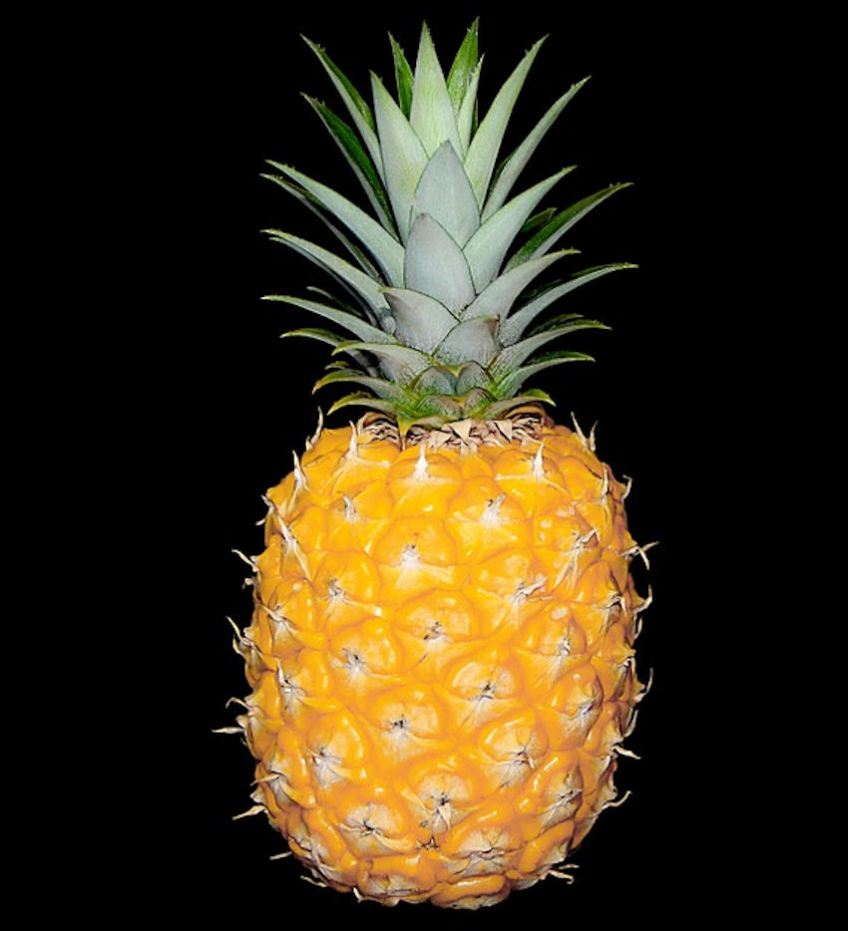 Golden Pineapple