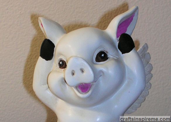 Closeup Facial Details