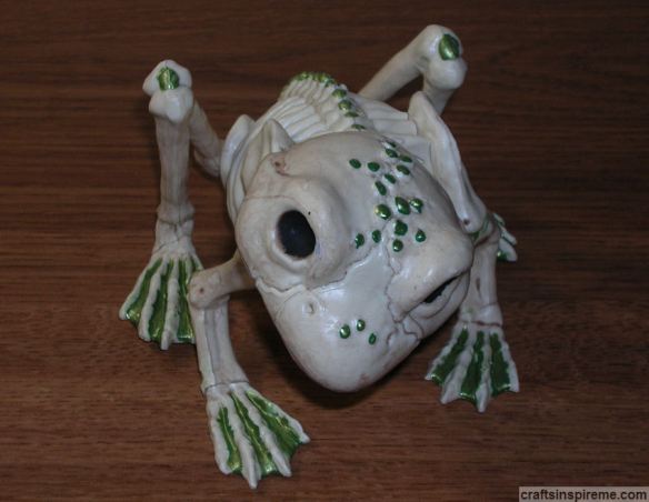 Finished Frog Skeleton