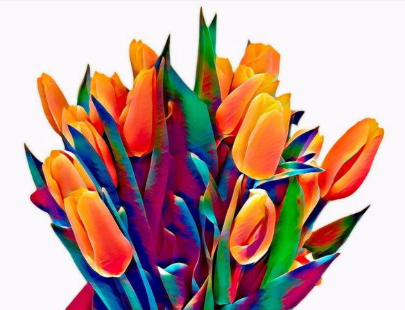 Graphic Arts Tulips