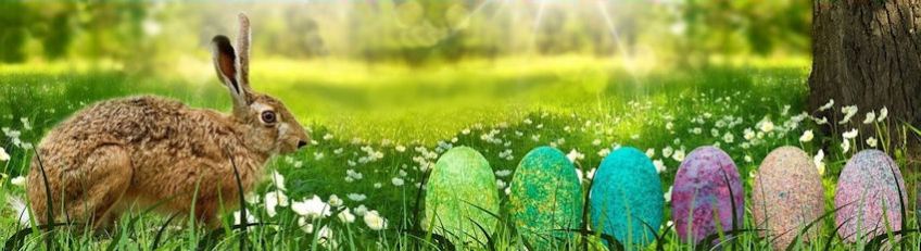 Easter bunny with textured eggs