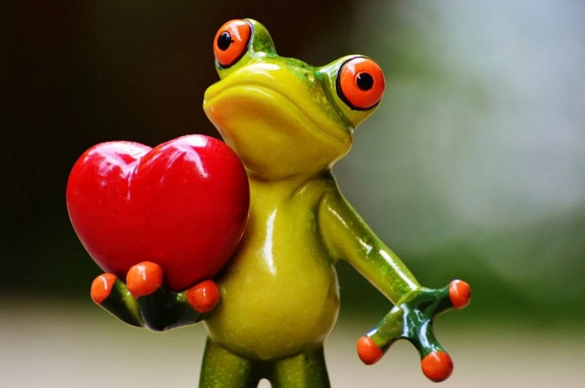 Romantic Frog