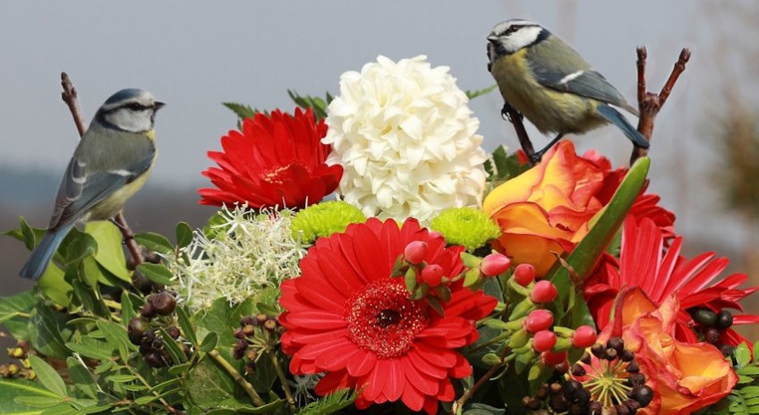 Accessorize Birds & Flowers