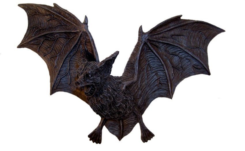 Vampire Bat