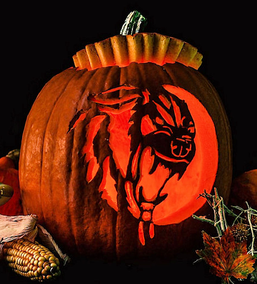 Wild Cat Pumpkin