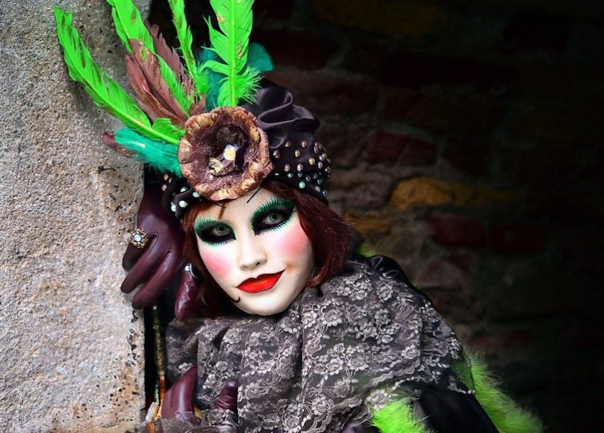 Fashionista Costume