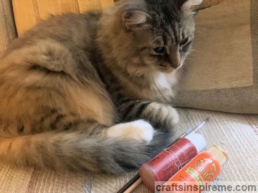 Cat with Paint & Brushes