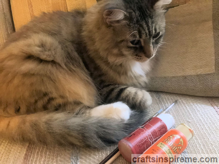 Cat with Paint & Brushes