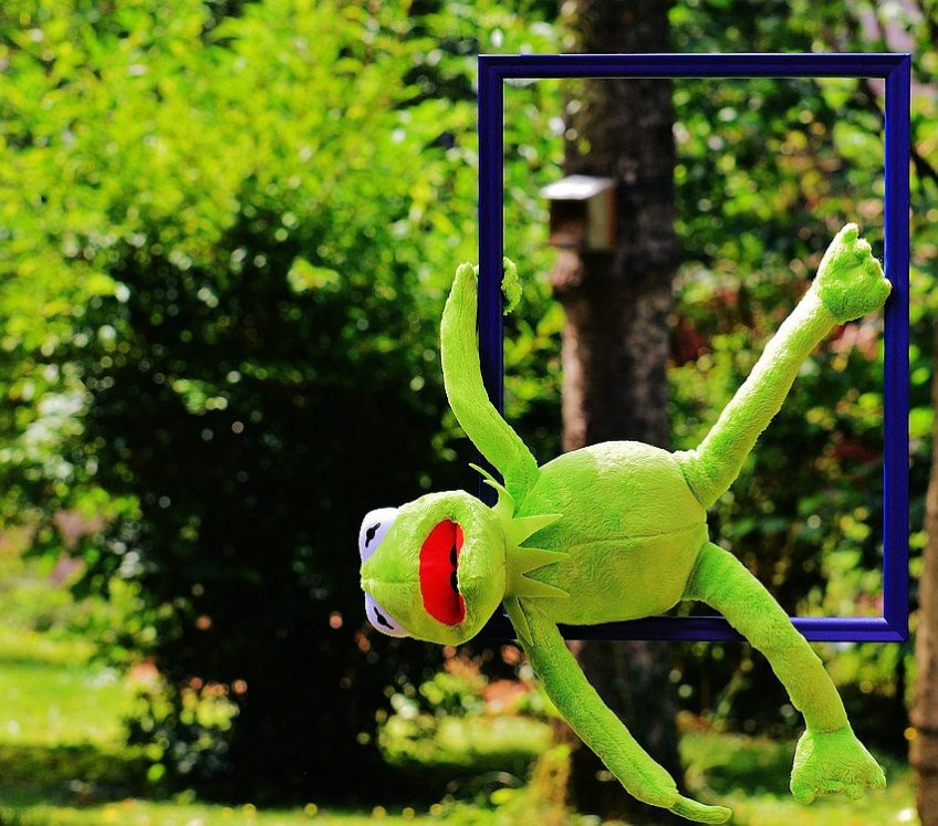 Kermit the Frog Hanging Around