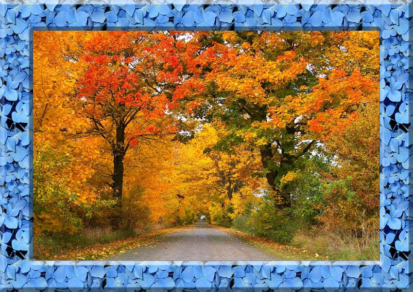 Scrapbook Papered Frame