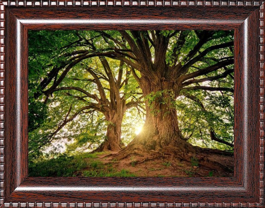 Wood Frame