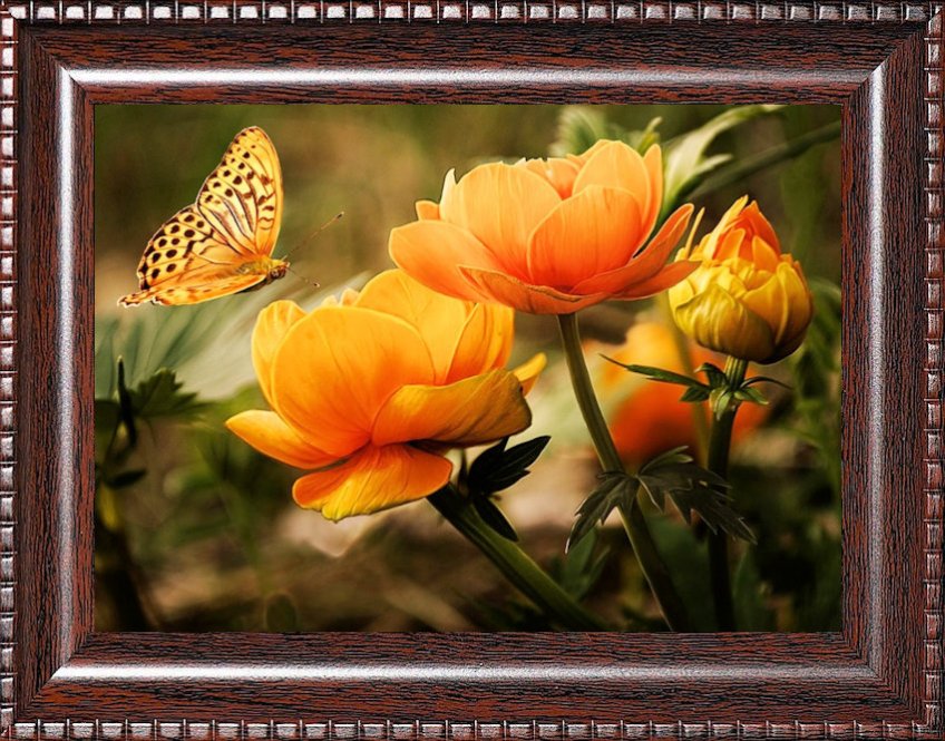 Wood Frame