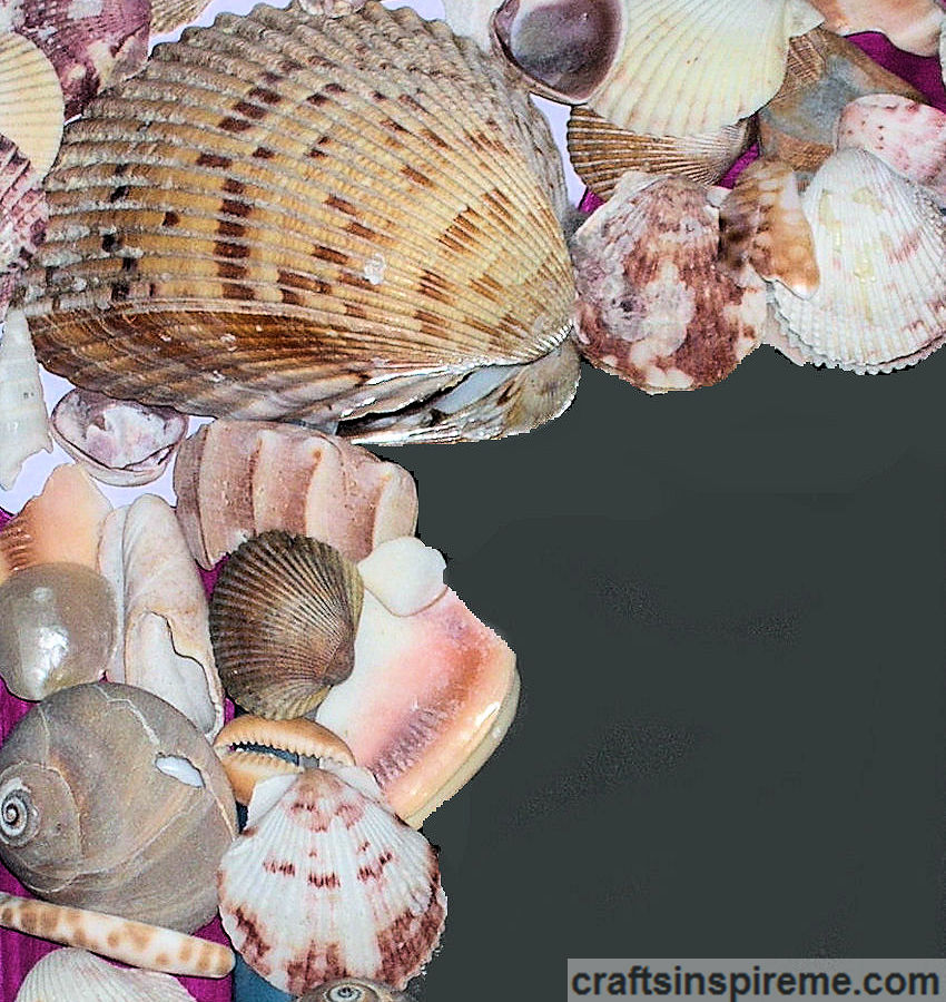 Frame with Seashell Border