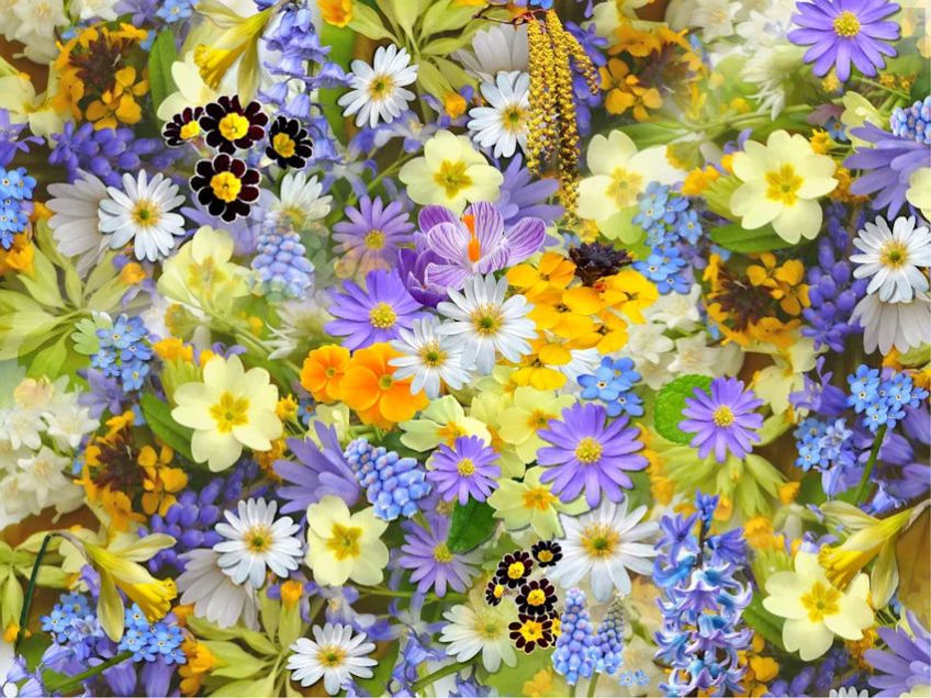 Mixed Media Floral Collage