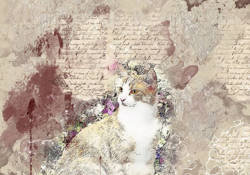 Mixed Media Cat Collage