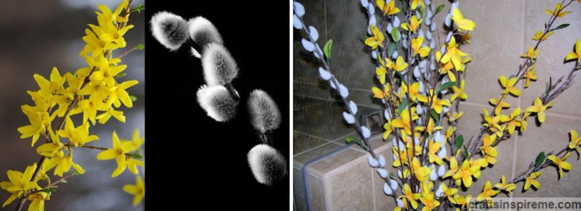 Pussy Willows & Forsythia Live vs Silk