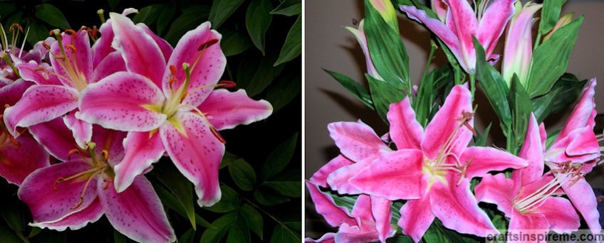 Stargazer Lilies Live vs Silk