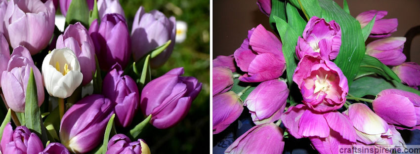 Tulips Live vs Silk