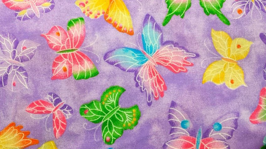 Fabric Painting2 Butterfly