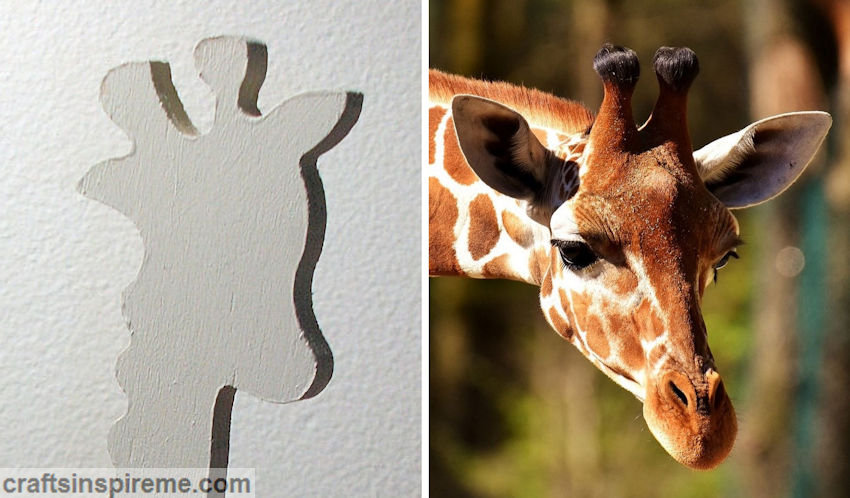 Giraffe Facial Close Up