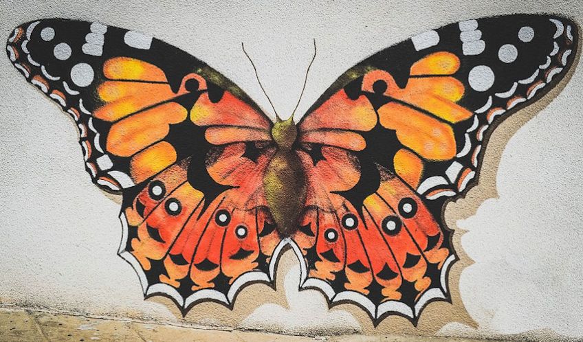 Painted Mural Butterfly