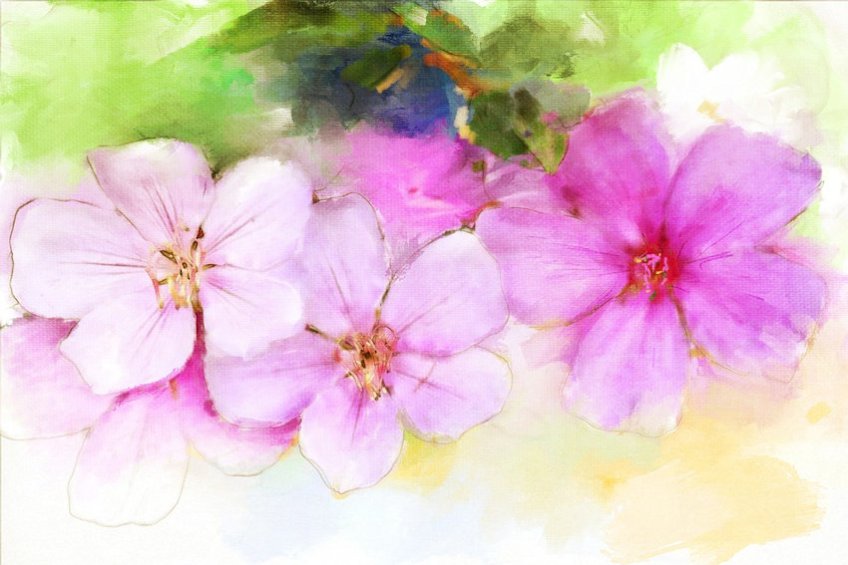 Watercolor Painting Flowers