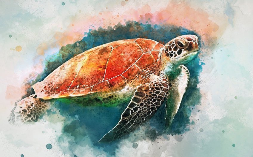 Watercolor Painting Sea Turtle