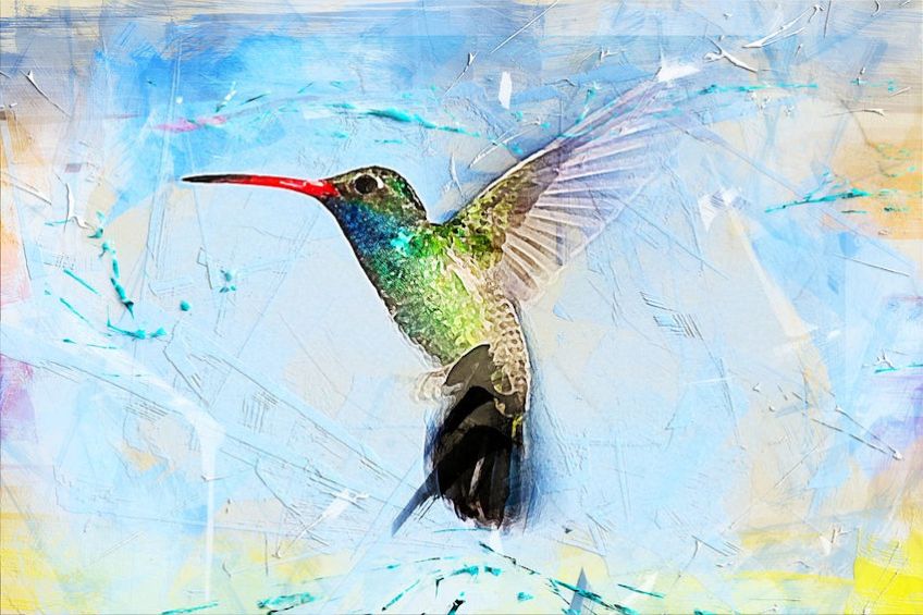 Mixed Media Hummingbird