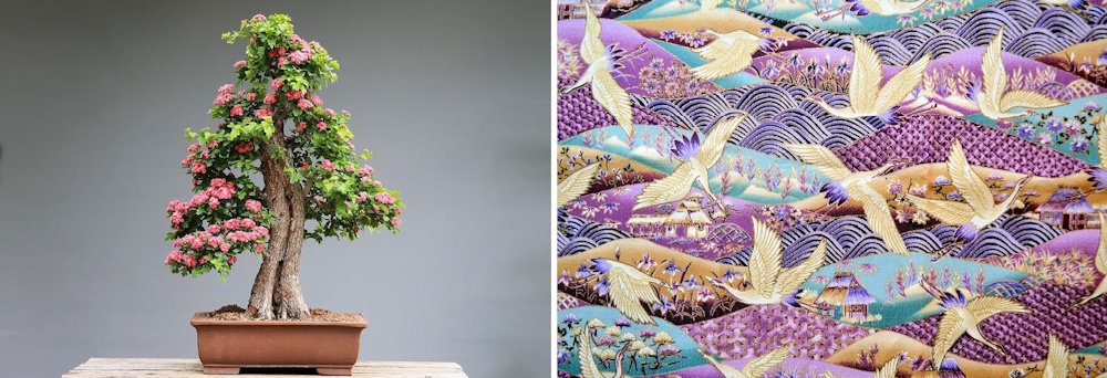 Bonsai & Fabric Design