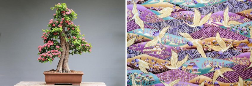Bonsai & Fabric Design