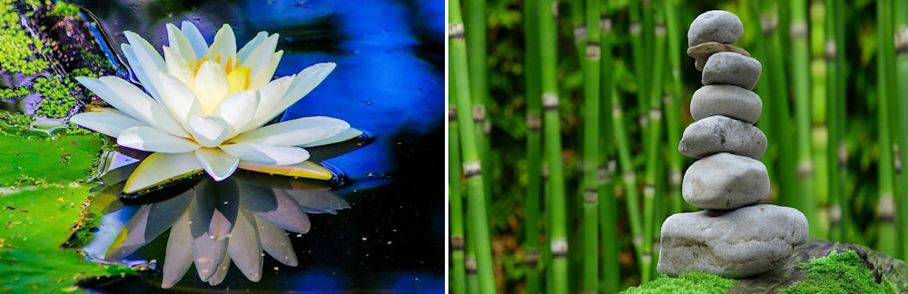 Water Garden & Meditation