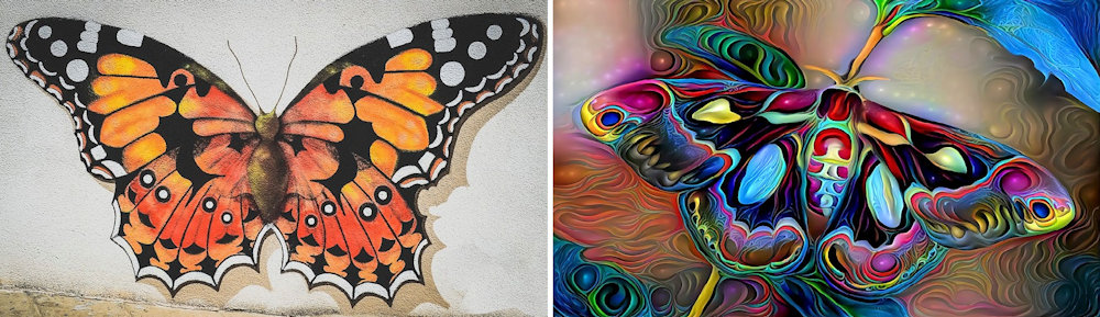 Wall Mural & Illustration