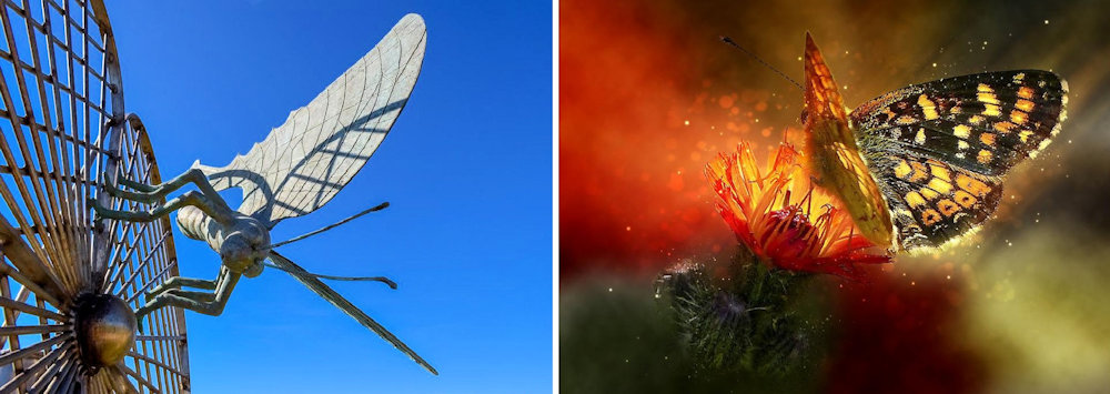 Metal Sculpture & Special FX Photography