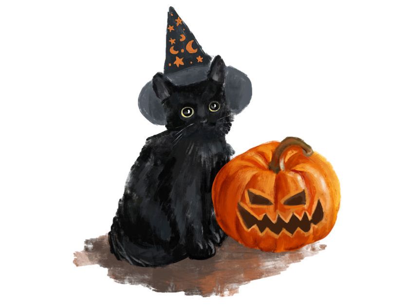 Black Cat & Pumpkin