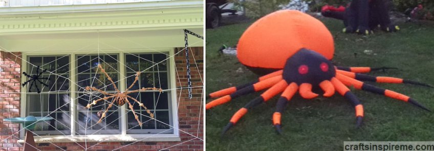 Spiders